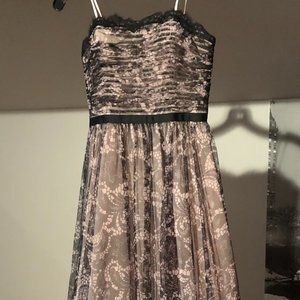 Sleeveless Lace Adrianna Papell Dress